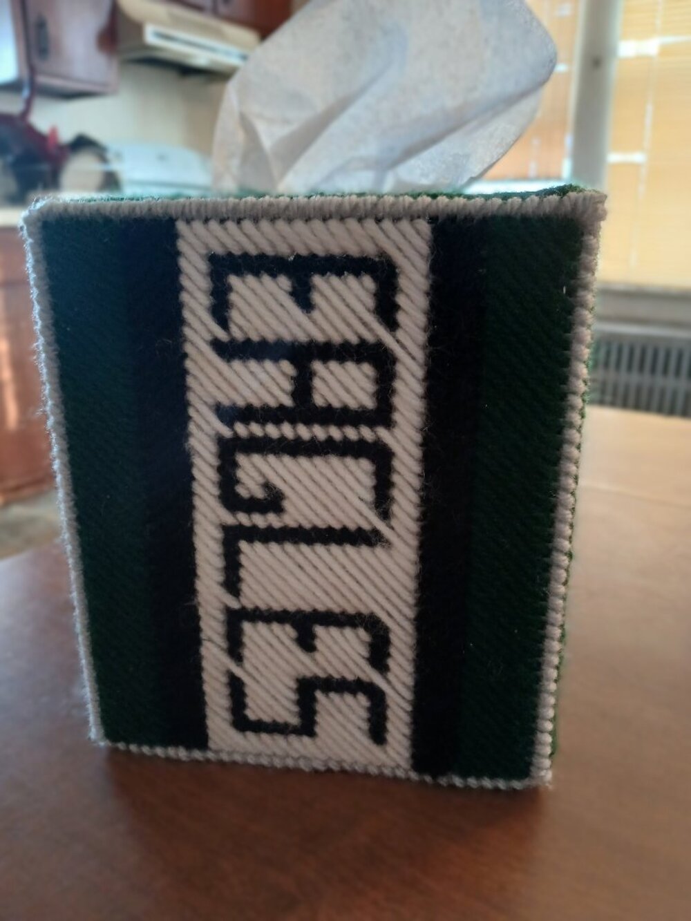 Philadelphia Eagles Handstitched Boutique Tissue Box Cover